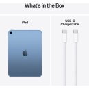 Apple iPad Wi-Fi 128GB Blue (11th Generation)