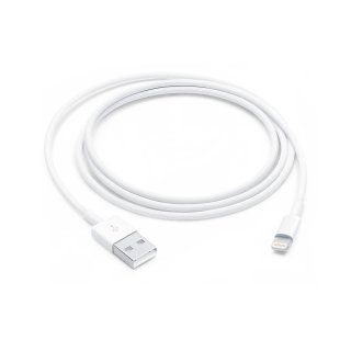 Original Apple Lightning to USB Cable (2m) ohne Verpackung NEU (BULK)