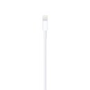 Original Apple Lightning to USB Cable (2m) ohne Verpackung NEU (BULK)