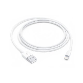 Original Apple Lightning to USB Cable (1m) BULK
